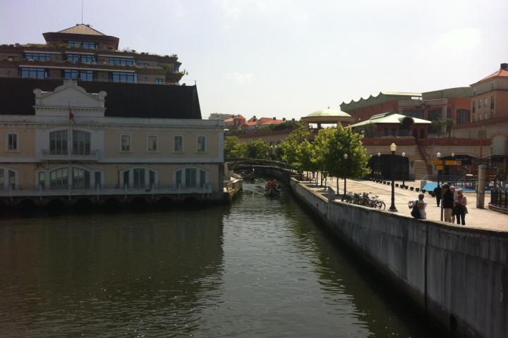 A river in Aveiro