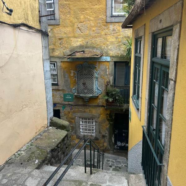 a cat sitting on the side of a building